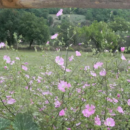 Il Rifugio Di Nino Bed & Breakfast